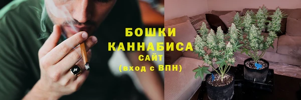 эйфоретик Кукмор