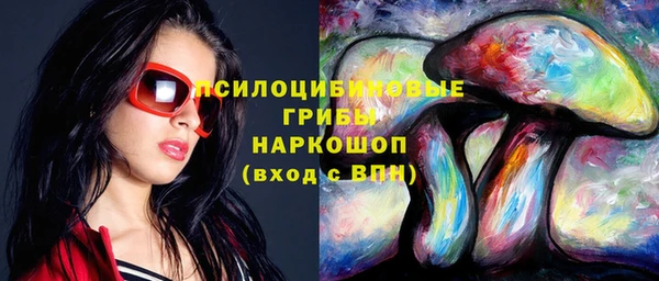 эйфоретик Кукмор