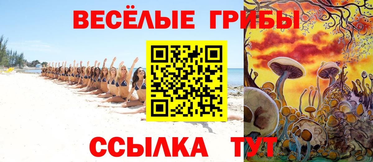 Каннабис  ГАШ  Керчь  МАРИХУАНА  Меф МЯУ МЯУ   НБОМе  Вход с VPN  Кокаин  ГАШИШ  ЭКСТАЗИ 