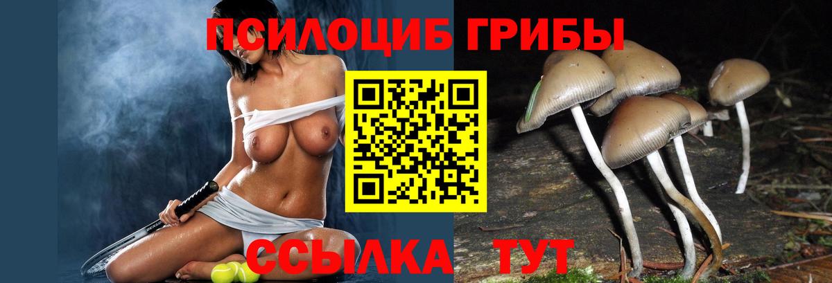 Псилоцибиновые грибы прущие грибы  Галлюциногенные грибы мухоморы  Керчь  Вход с VPN 
